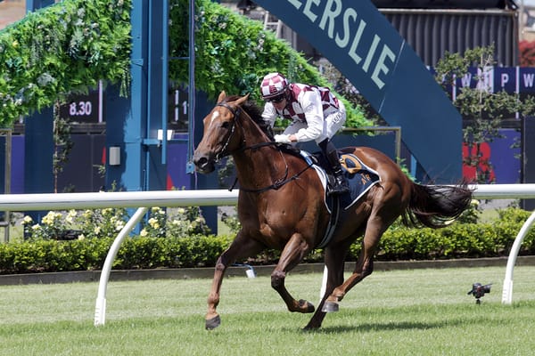 Babylon Berlin takes Ellerslie feature sprint