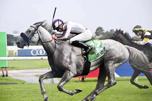 Be Real masters testing track at Rosehill