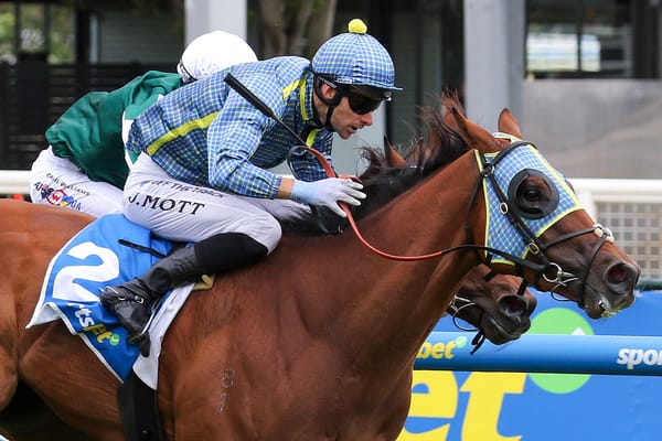 Centennial Park flags Kiwi credentials