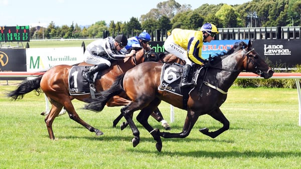 Wexford Stable Continues Winning Streak with Cheaha