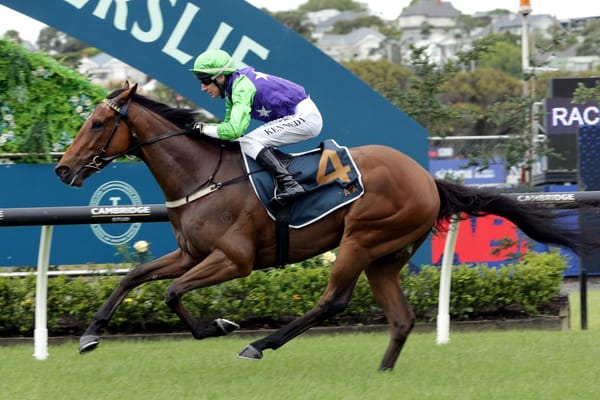 Checkmate continuing broodmare’s grand record