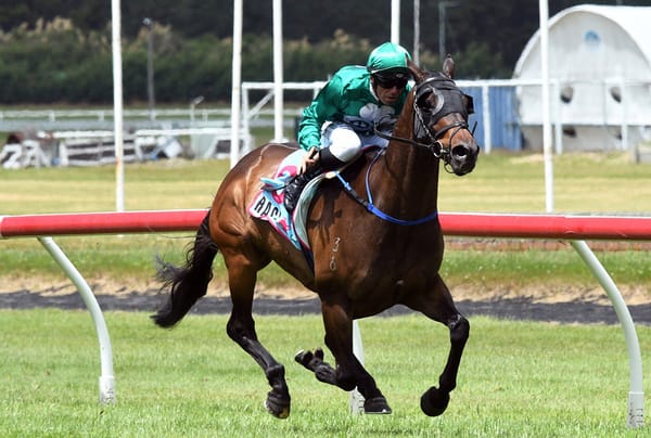 Grylls at front-running best on Conor O’Ceirin