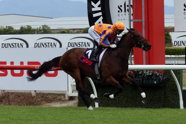Damask Rose Enters NZB Kiwi Spotlight