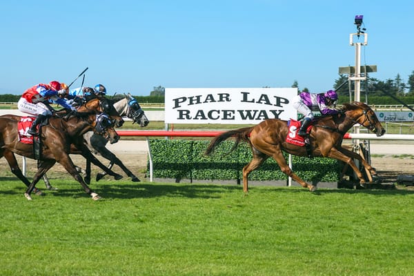 Ears Back Overcomes Wide Draw to Claim Timaru Cup
