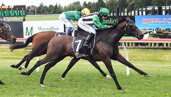 Elegant Return for Rogerson’s Promising Filly