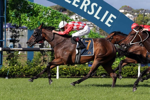 Hasstobeawinner takes his crown in Stella Artois Final