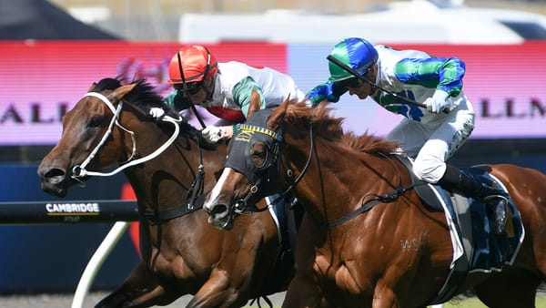 Hitabell provides Marsh with a Boxing Day double