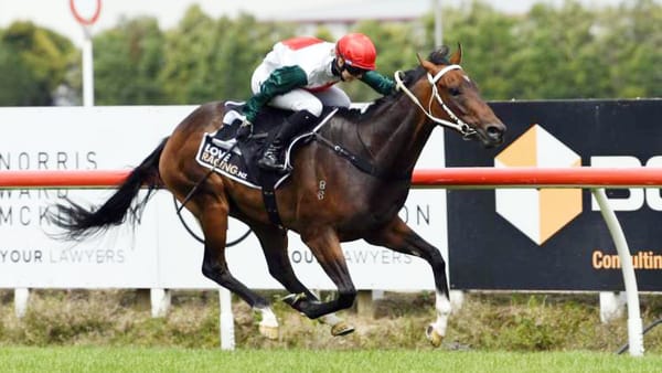 Marsh upbeat despite Te Rapa draws