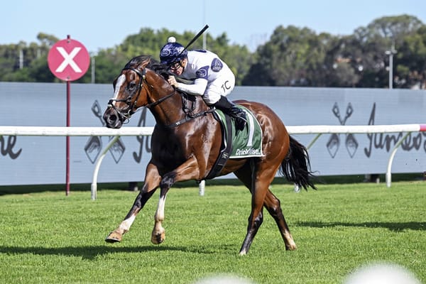 I’mintowin all the way again