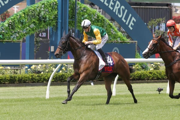 Kingsclere gallopers continuing family legacy