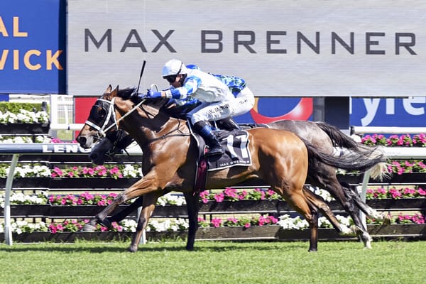 Well-bred stayer bags Christmas Cup