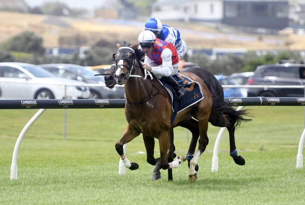 Confidence High in Kattegat’s Cup Chances at Otaki