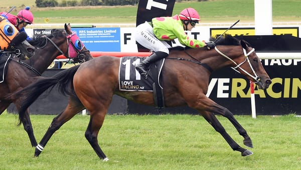 Taupo Cup a Doddle for Cambridge mare