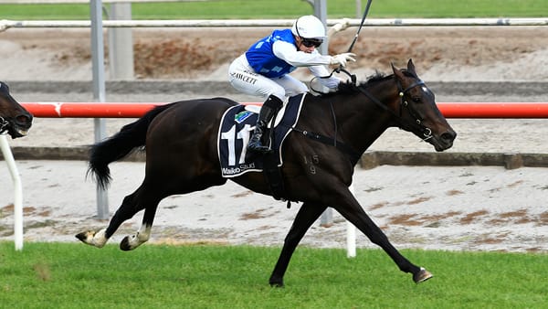 Front-running Khafre takes Matamata Cup