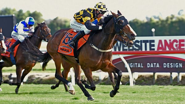 Tough mare Snazzytavi in for the fight