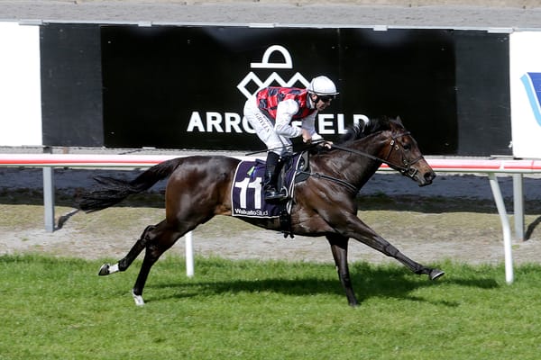 La Crique Eyes Boxing Day at Ellerslie