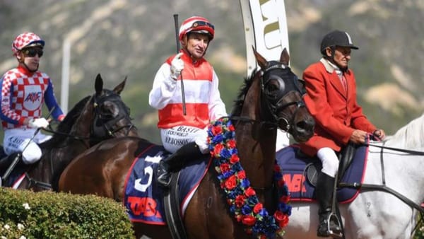 Good times flowing for Grangewilliam