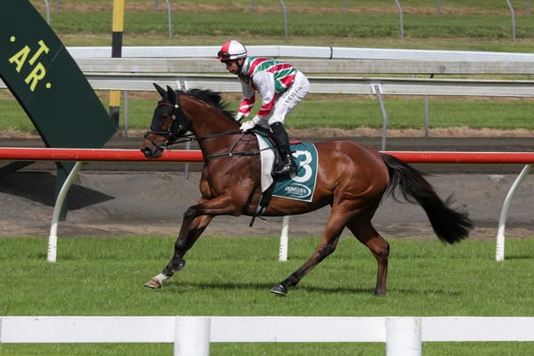 Luxury impost for highly-rated mare