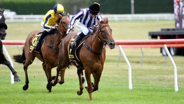 Regal win by Taupo debutant