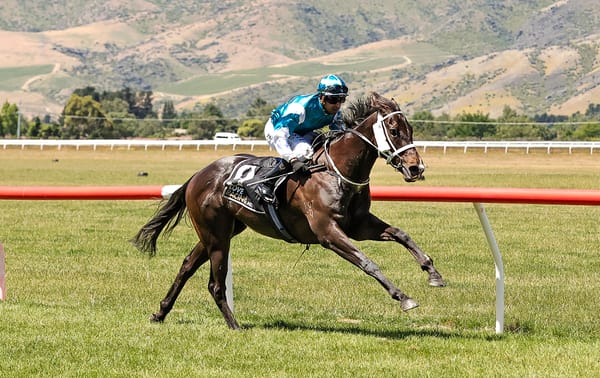 Perfect start to summer for Turner