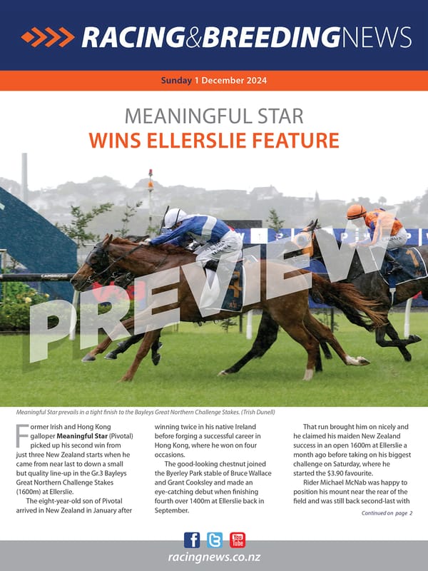 NZ Racing and Breeding News – 01 December 2024