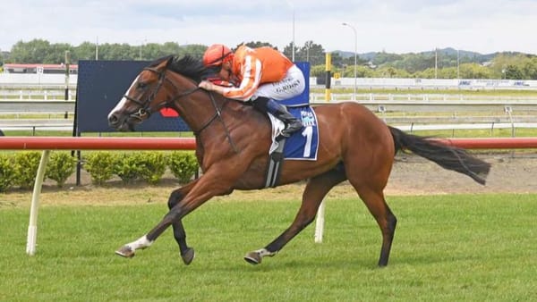 Osteria Faces Group Race Challenge