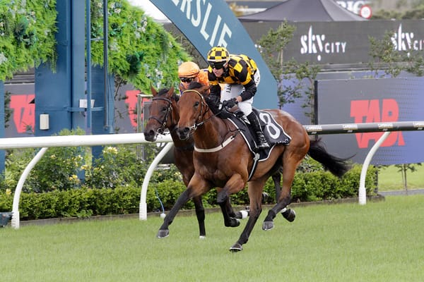 Remala rockets into Karaka Millions favouritism