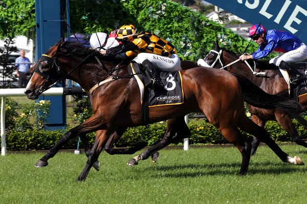 Snazzytavi Claims Zabeel Classic Glory for Cambridge Stud