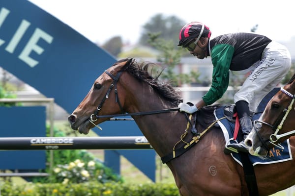 Sun shines in Ellerslie opener