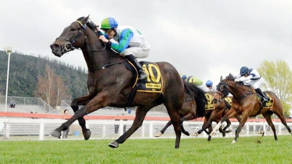 NZB Kiwi contender steps out at Te Rapa