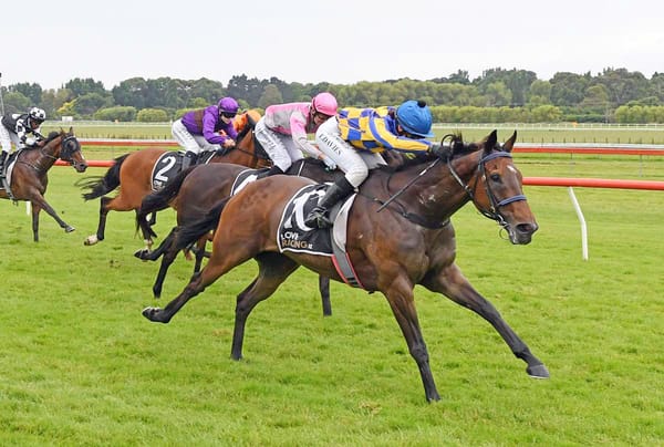 Triumphant homecoming for Sword In Stone