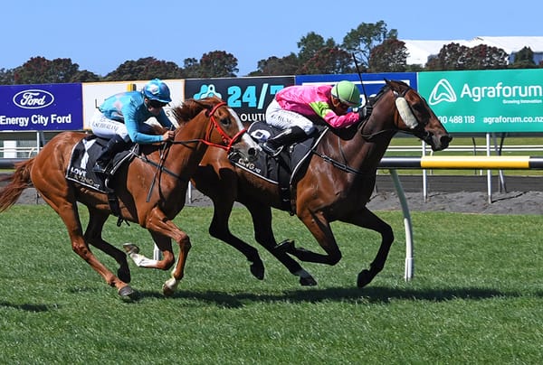 Plan B breaks two-year drought for Trigon Lad