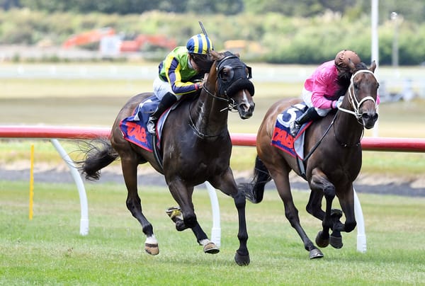 Familiar colours to the fore on Cup Day