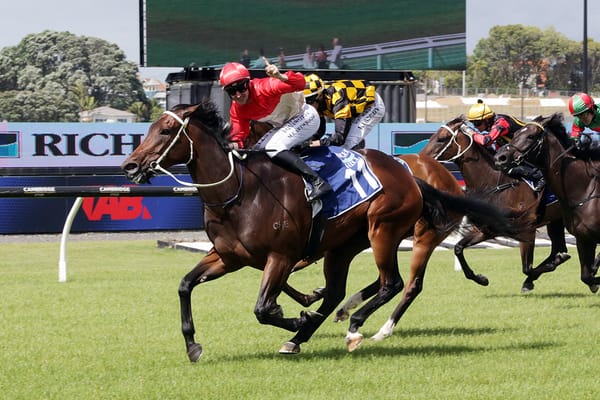 Bold Strategy for Group Winner’s Dam