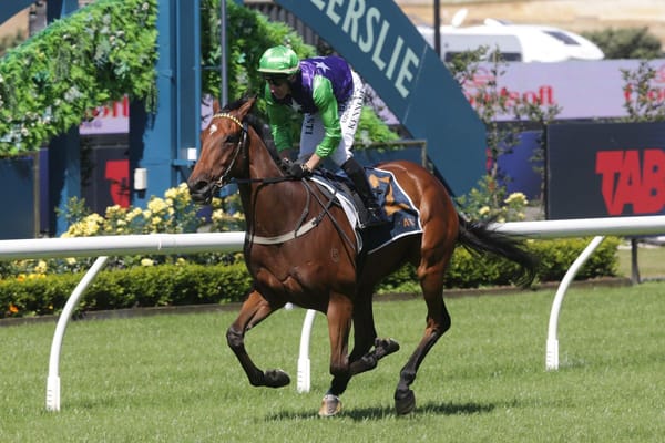 Options aplenty for impressive Checkmate