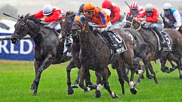 Damask Rose brilliant in Karaka Millions 3YO