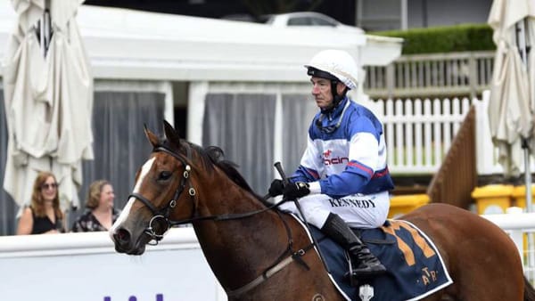 Go Racing where the Fun Never Sets