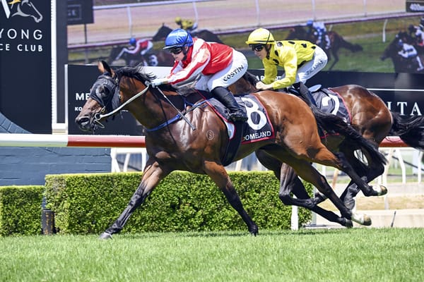 Impact made at Wyong