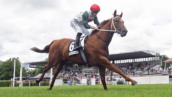 Gypsy Eyes Karaka Million Glory