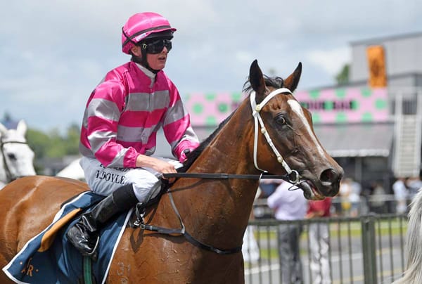 Imprevu Set for Matamata Stakes Challenge