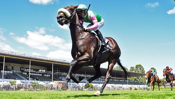 Stakes assignments await promising filly