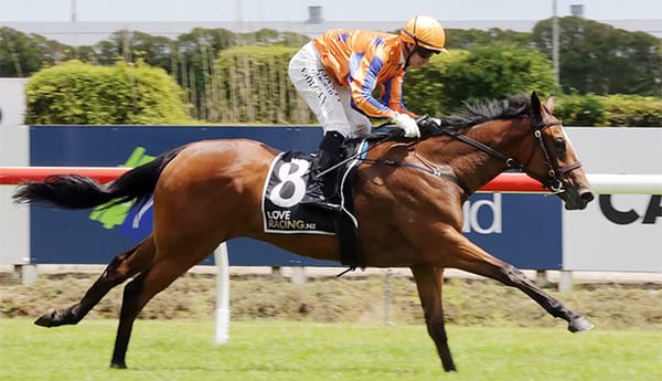 Ted Set to Don Two Hats at Karaka