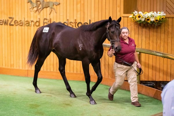 Million-dollar double for Donna Marie