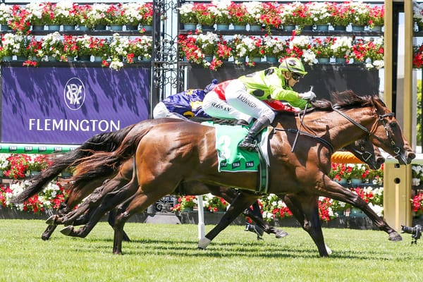 Marble Arch bags comfortable Flemington win
