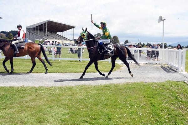 Mayor Of Norwood claims Waikouaiti Cup