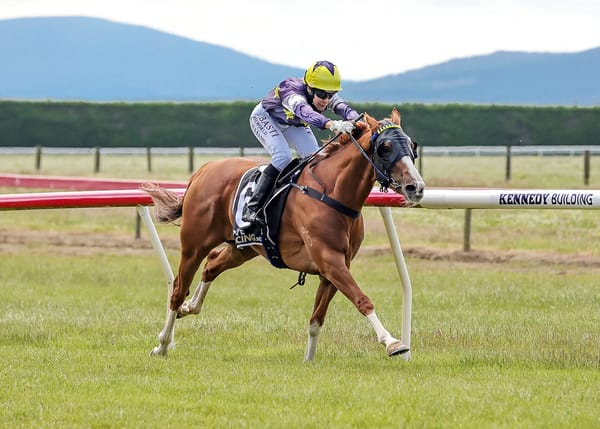 Riviera Rebel Claims Victory in Tapanui Cup