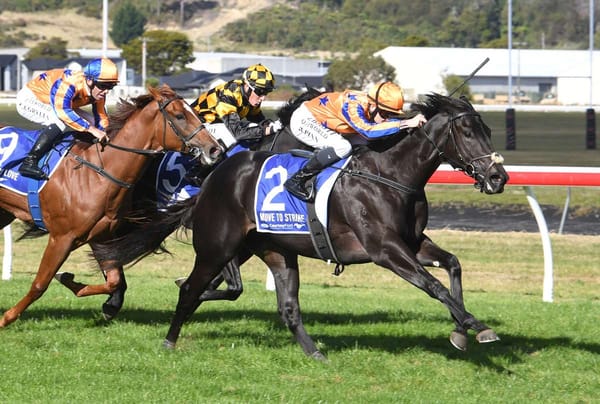 Te Akau Racing are ready to strike at Karaka Millions