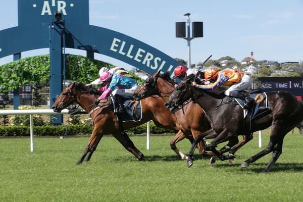 Mustang Morgan a popular winner in Gingernuts Salver