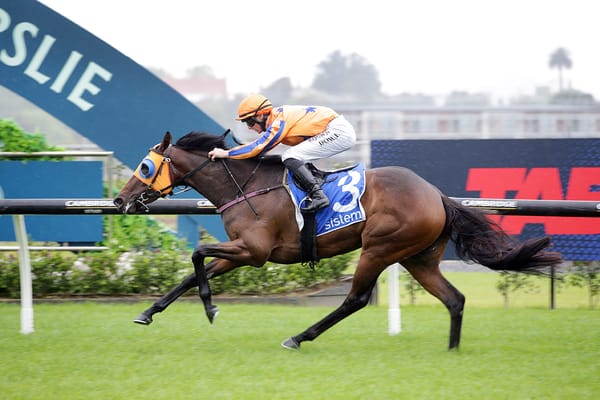 Qali Al Farrasha gets nod for Te Akau in feature mile