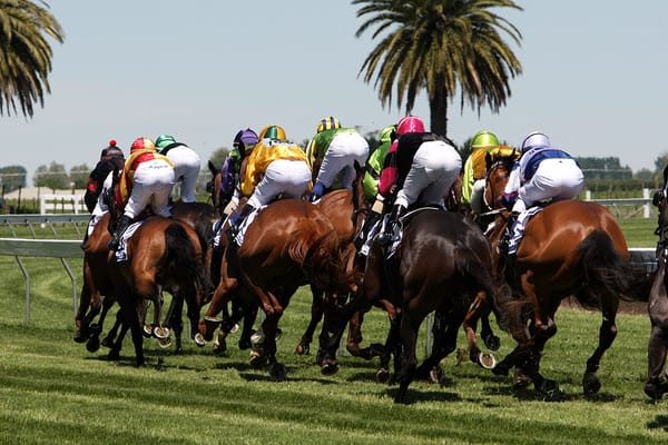 New Zealand Thoroughbred Racing and 1/ST Unveil Partnership to Elevate Global Thoroughbred Racing